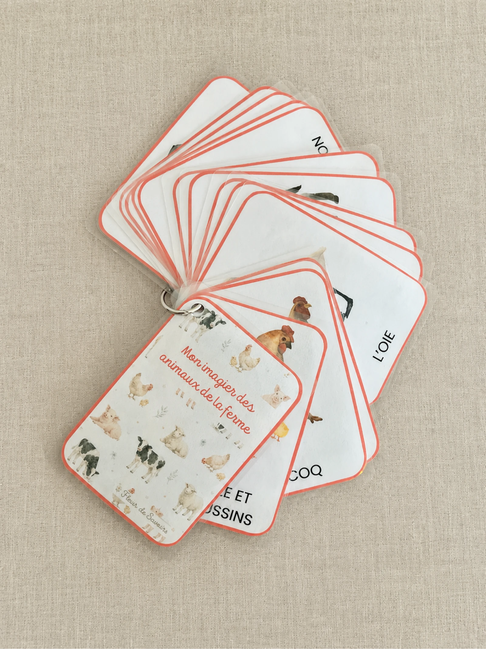 Pack imagier des animaux  – photo 8